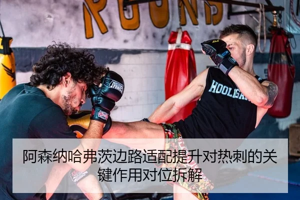 阿森纳哈弗茨边路适配提升对热刺的关键作用对位拆解